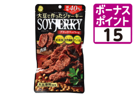 ソイジャーキー