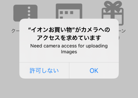 ※初回起動時は、カメラへのアクセスを求められます。
              ご確認の上、許可をしてください。