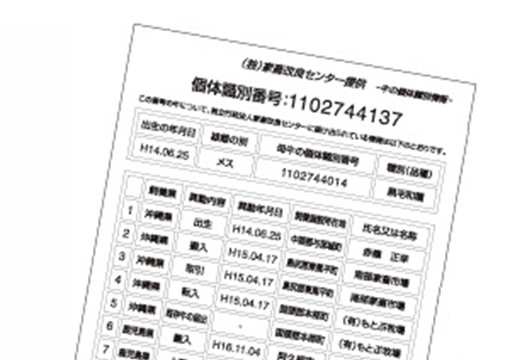 個体識別番号