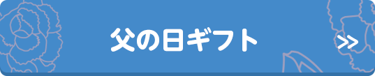 父の日ギフト