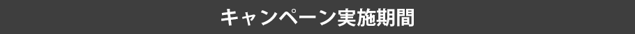 キャンペーン実施期間