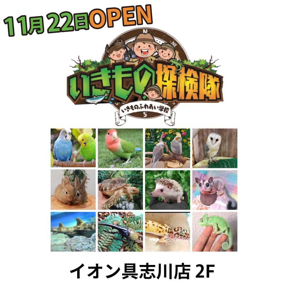 イオン具志川店 2F いきもの探検隊