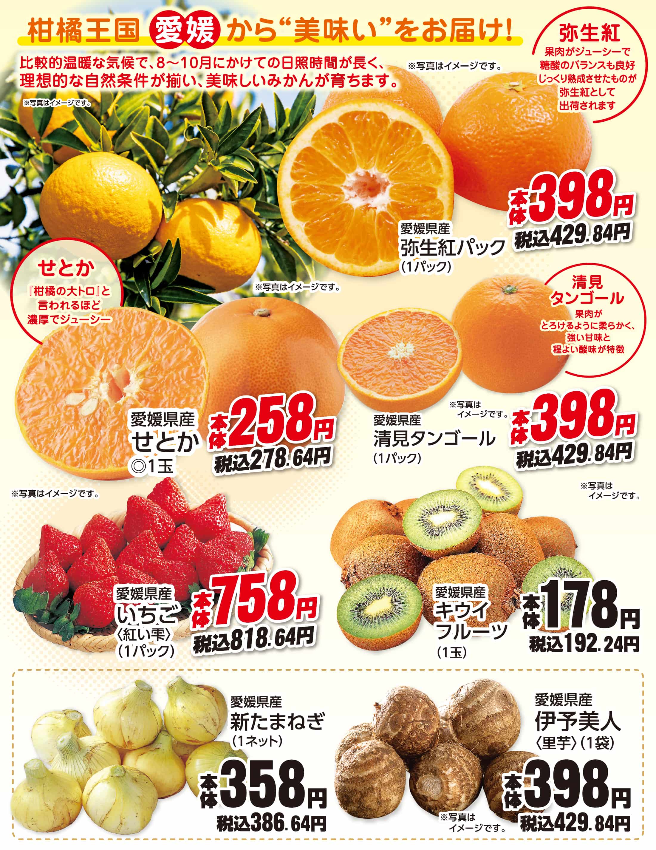 愛媛の魅力いっぱい!!愛媛県フェア