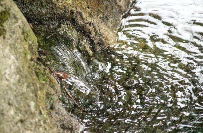 湧き水