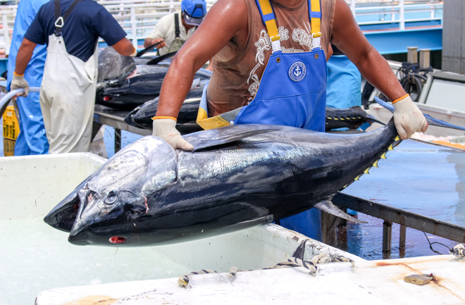 本マグロを持つ海の男