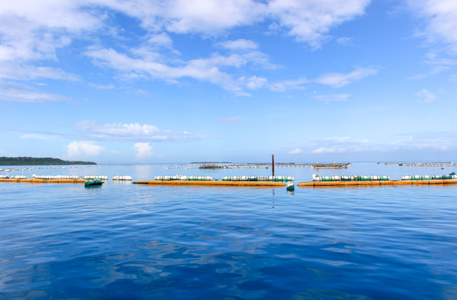 本部町の海