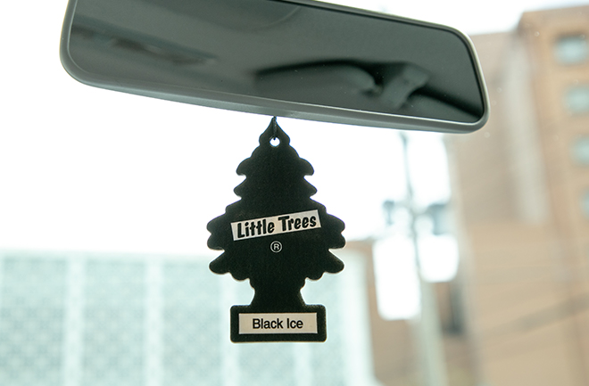 Little Tree Black Ice