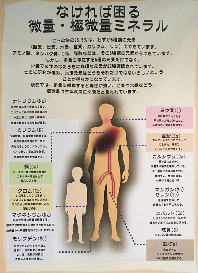 人の体に必要なミネラル