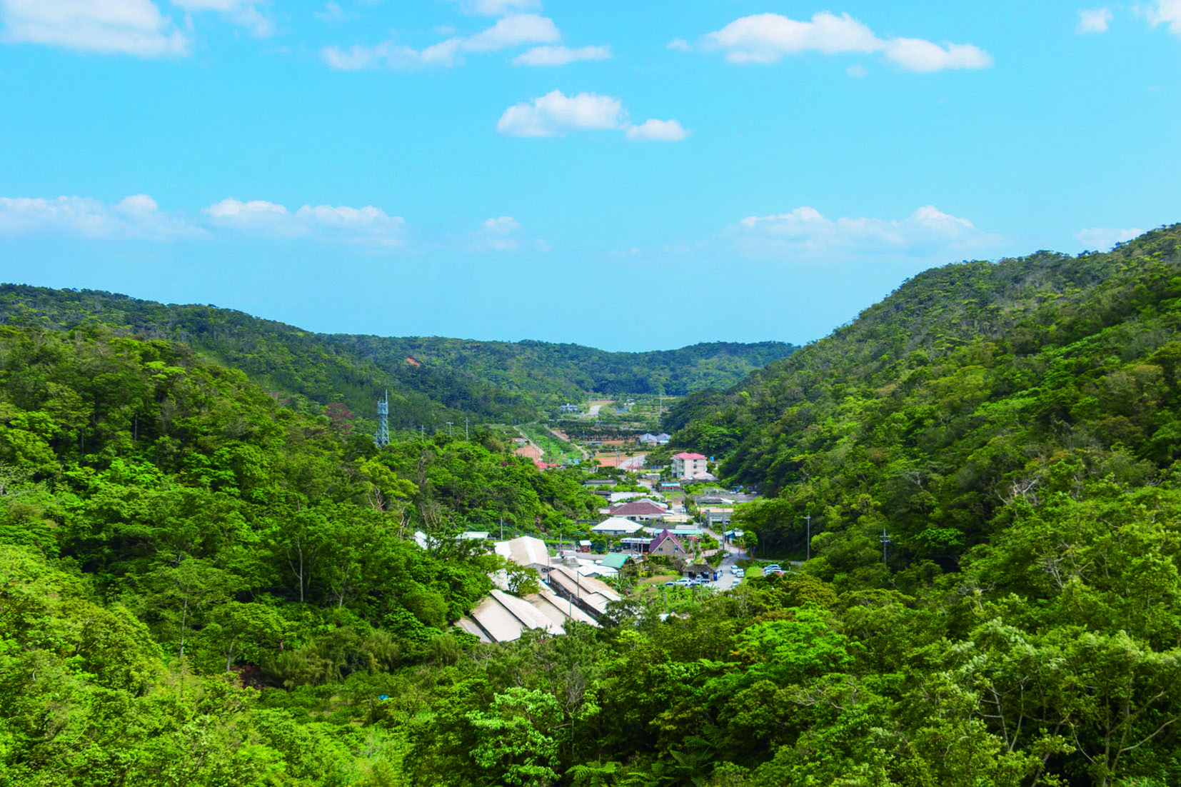 我那覇畜産_景色